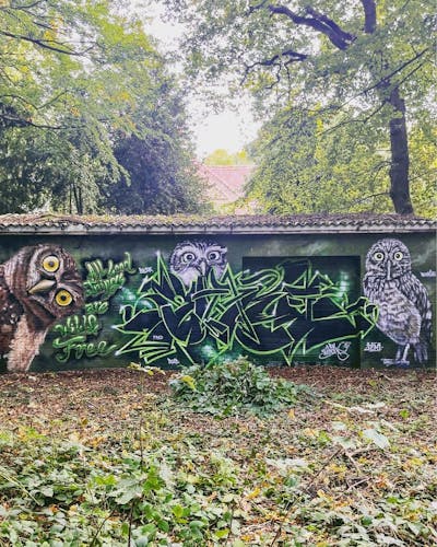 Green and Grey and Black Stylewriting by SHAKE and PND. This Graffiti is located in Germany and was created in 2022. This Graffiti can be described as Stylewriting and Characters.