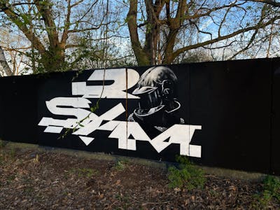 Black and White Stylewriting by Sirom and TMF. This Graffiti is located in Germany and was created in 2024. This Graffiti can be described as Stylewriting and Characters.
