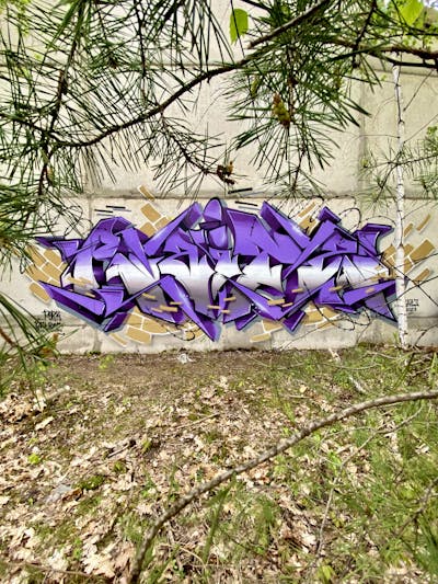 Violet and Beige and Grey Stylewriting by Raitz. This Graffiti is located in Germany and was created in 2023. This Graffiti can be described as Stylewriting, Abandoned and Atmosphere.