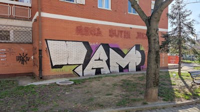 Chrome Stylewriting by 7AM. This Graffiti is located in Novi Sad, Serbia and was created in 2024. This Graffiti can be described as Stylewriting and Street Bombing.